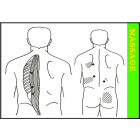 triggerpoint massage