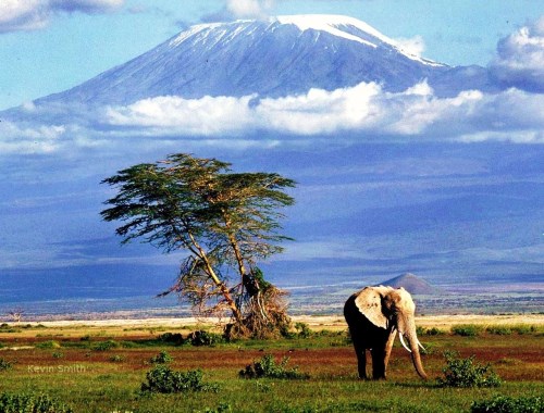 Tanzania Wildlife & Landscape