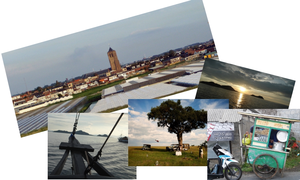 Westland groepsrondreizen westland - wereld